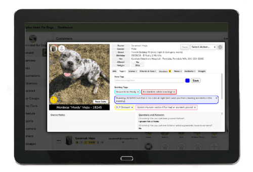 Each Pet gets a Profile & Stay Report