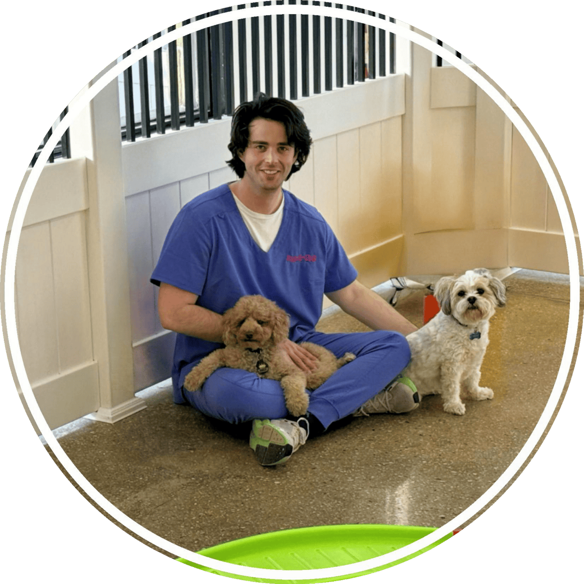 Cute puppy mascot promoting pet fun and care.