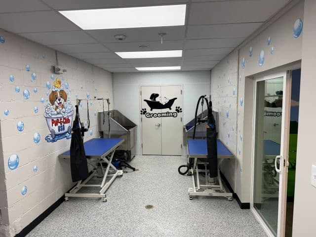 Making Your Pet Feel at Home Dog Boarding Freeport